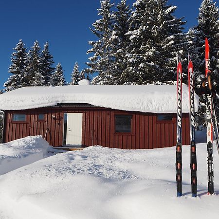 Cabin With Great View Close To Town And Ski Area Lillehammer Ngoại thất bức ảnh