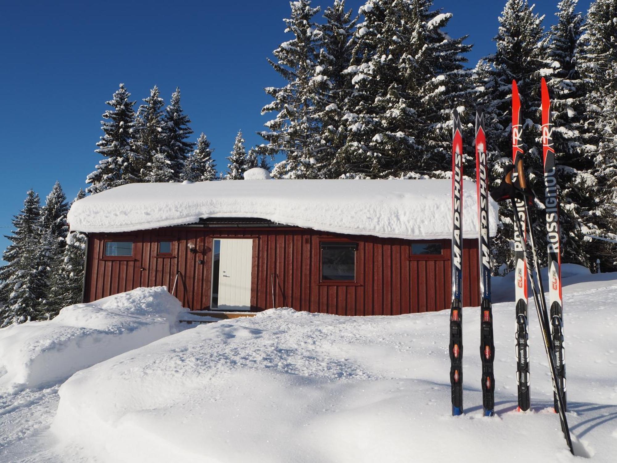 Cabin With Great View Close To Town And Ski Area Lillehammer Ngoại thất bức ảnh